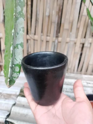 lombok pottery studio's gallery (11) lombok pottery studio's gallery (11)