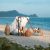 Lombok Favorite Escape 4D3N