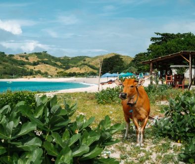 Lombok Highlight Tour 3D2N
