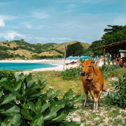 Lombok Highlight Tour 3D2N