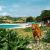 Lombok Highlight Tour 3D2N