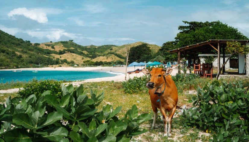 Lombok Highlight Tour 3D2N