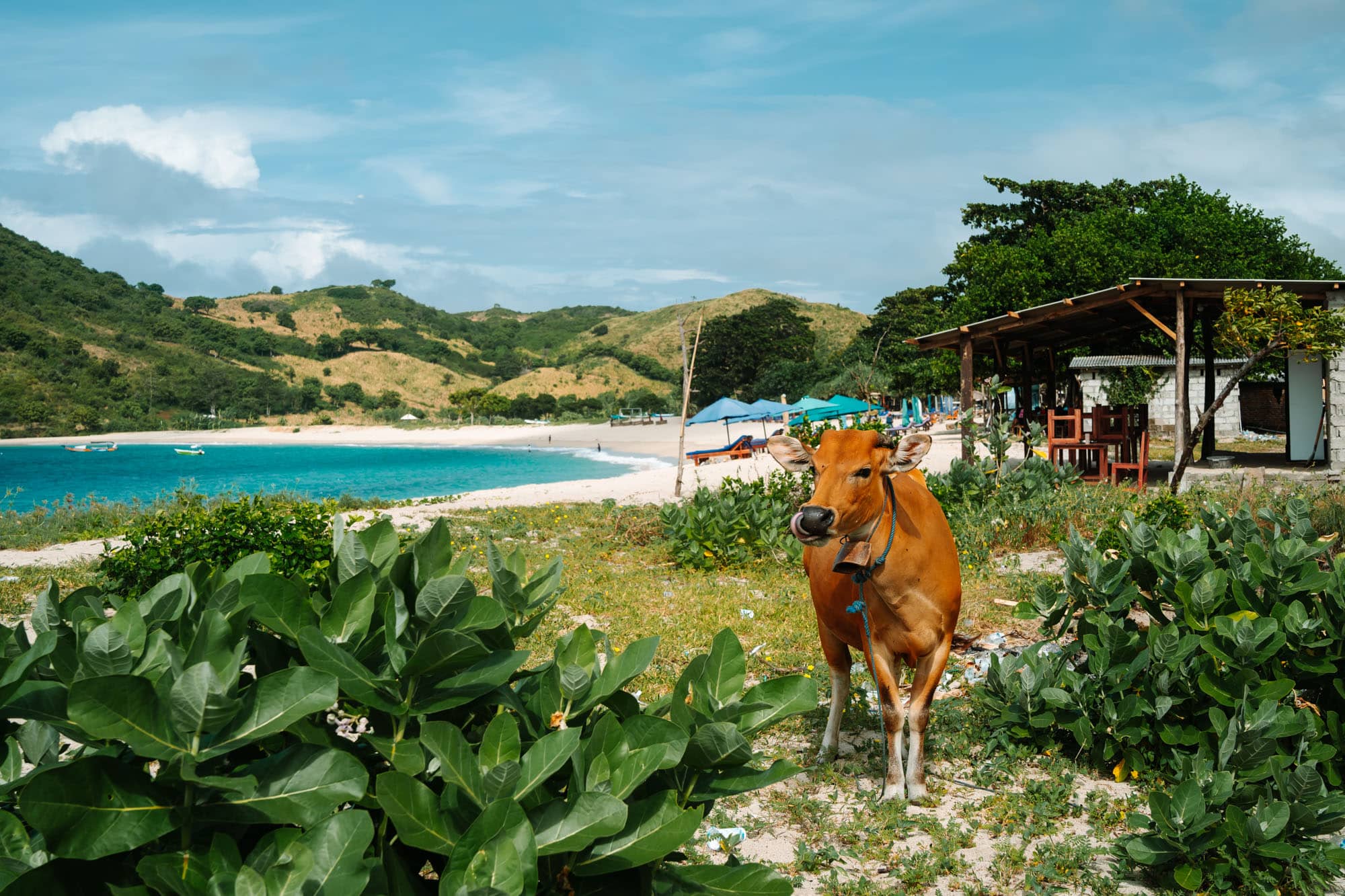 Lombok Highlight Tour 3D2N